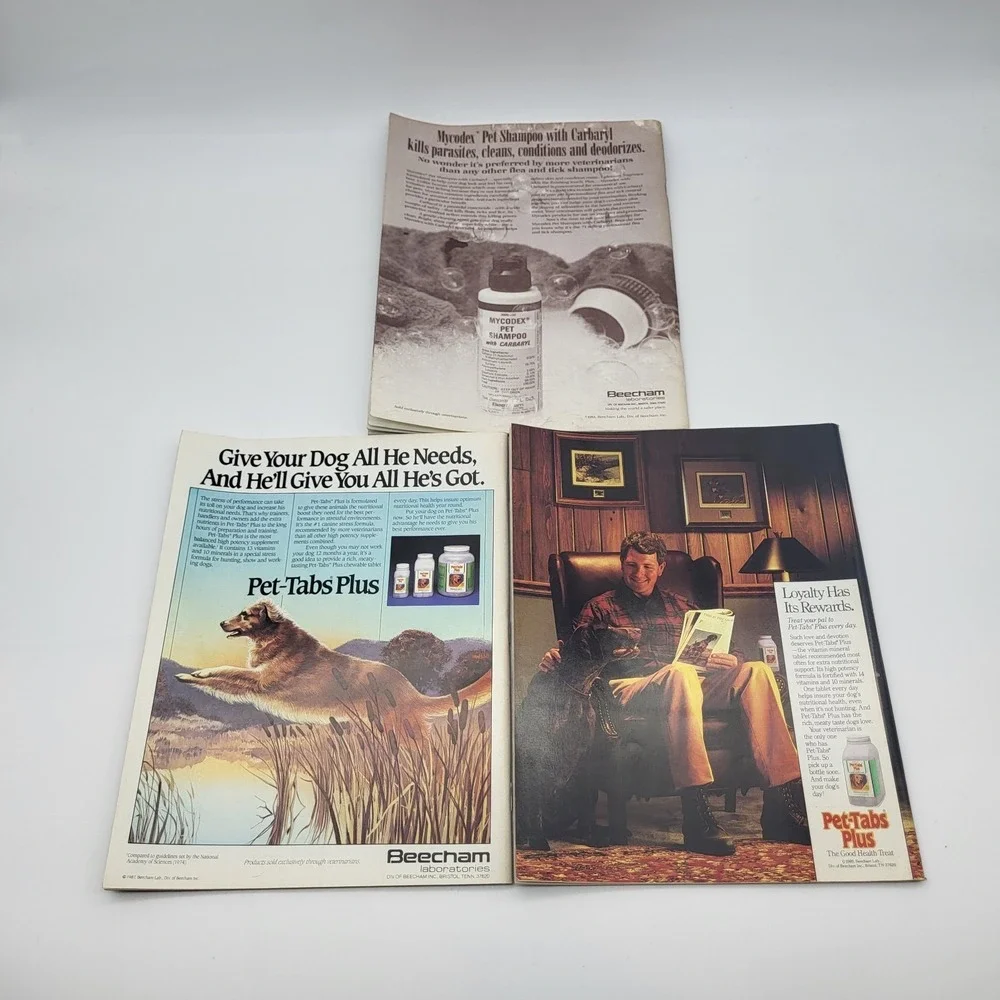 Lot of 3 Vtg Gun Dog Magazines Upland Bird And Waterfowl Dogs 1987, 1989, 1990